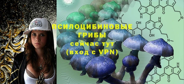 эйфоретик Володарск