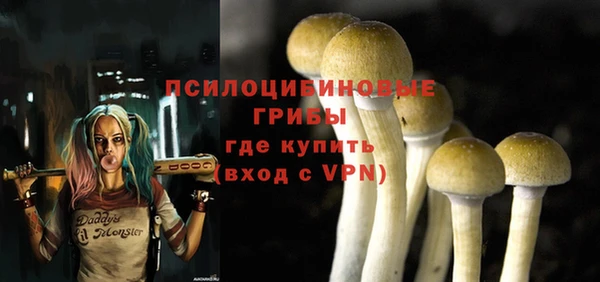mdma Бородино