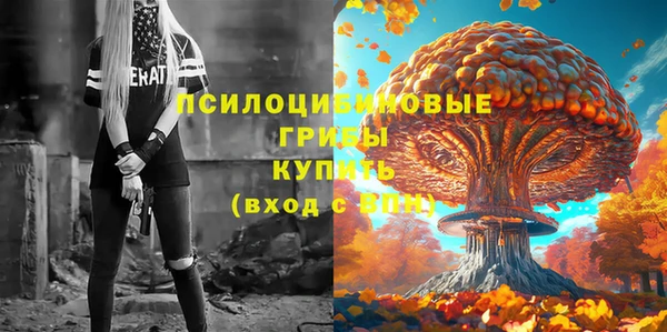 молекула духа Волоколамск