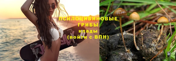 ешки Волосово